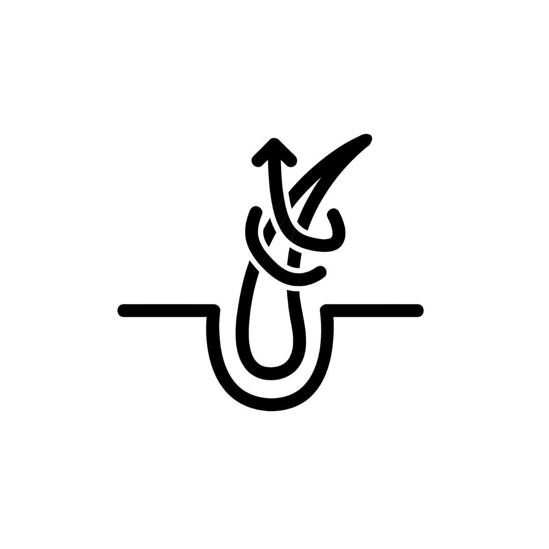 files/3_6fe44a75-48b0-432b-a660-3d906083da85.png